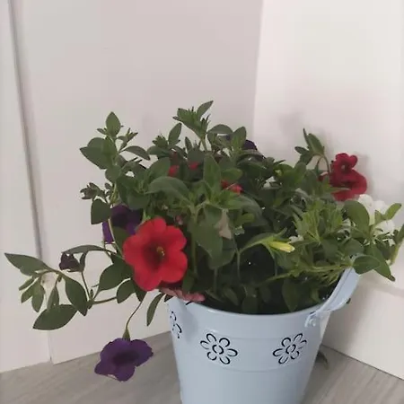 Apartment Tematico Cantabria