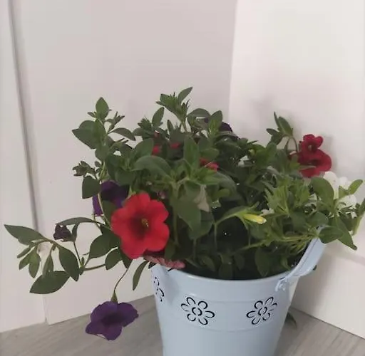 公寓 Tematico Cantabria